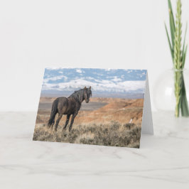 "Svart hallion"-anteckningskort Kort