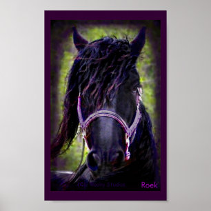 Svart hallion-utskrift poster