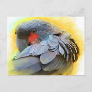 Svart Handflatan Cockatoo - realistisk målning Vykort