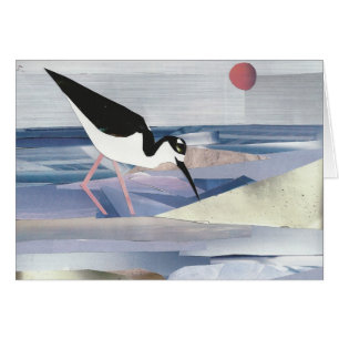 Svart-hånglad stylta OBS kort