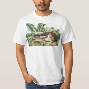 Svart hare (Lepus negricaudatus) T Shirt
