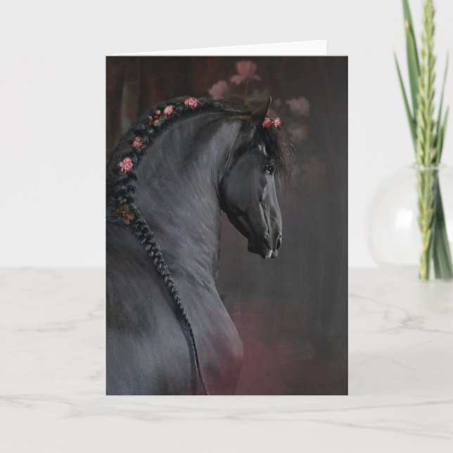 Svart häst - gratulationskort tack kort (Framsida)