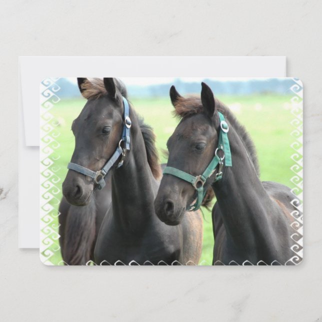 Svart häst inbjudningar (Framsida)