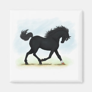 Svart häst med Star & Sock (Black Beauty) Magnet