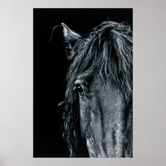 Svart häst porträtt poster (Framsidan)