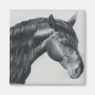 Svart hästhuvudhingst magnet