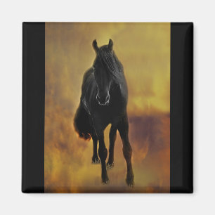 Svart hästSilhouette Magnet