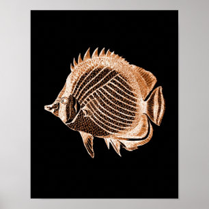 Svart havsfisk vid kustsjöfarten poster