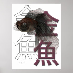 Svart hed poster