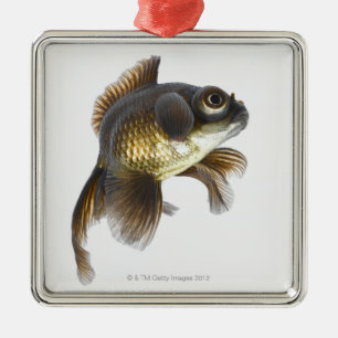 Svart hedguldfisk (Carassiusauratus) 2 Julgransprydnad Metall