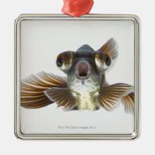Svart hedguldfisk (Carassiusauratusen) Julgransprydnad Metall
