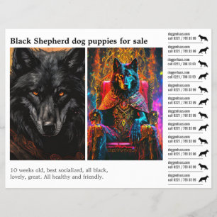 Svart herdehund reklamblad
