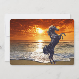 Svart hingst på stranden julkort