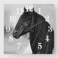 Svart hingsthäst för Friesian