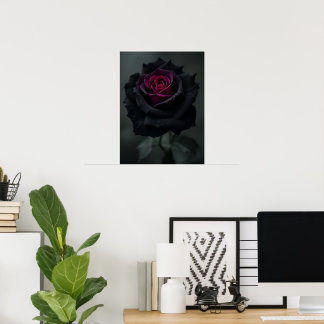 Svart hjärta ros poster