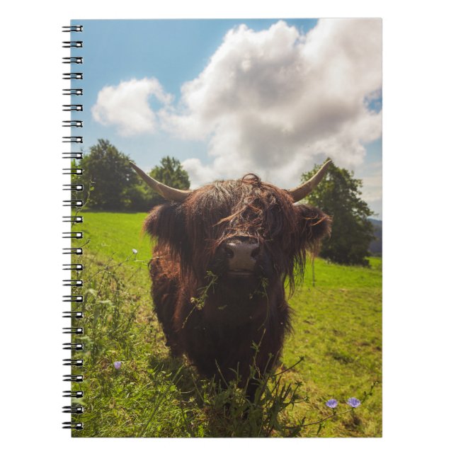 Svart höns med bete grönt fält sol med ljus anteckningsbok (Framsidan)