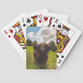 Svart höns med bete grönt fält sol med ljus casinokort