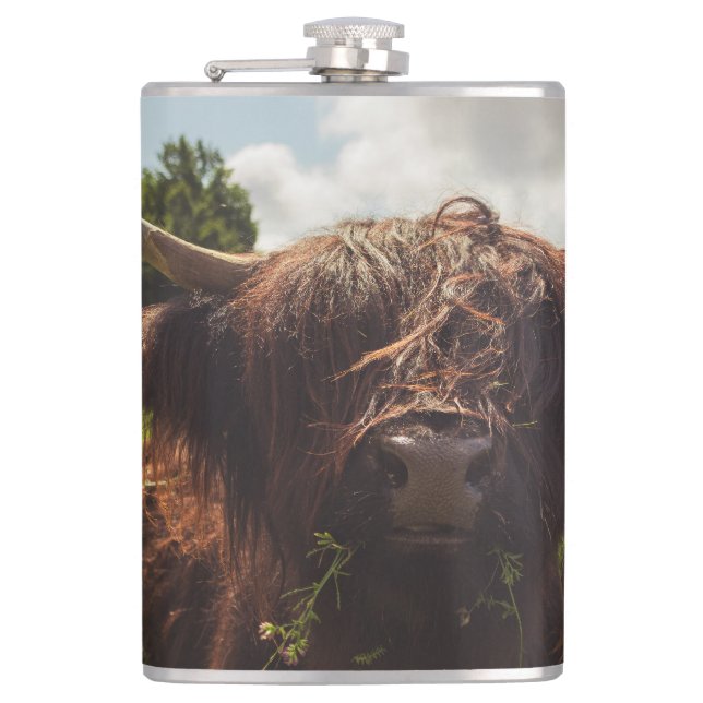 Svart höns med bete grönt fält sol med ljus fickplunta (Framsidan)