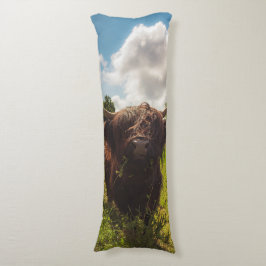 Svart höns med bete grönt fält sol med ljus kroppskudde