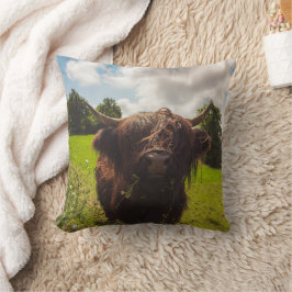 Svart höns med bete grönt fält sol med ljus kudde