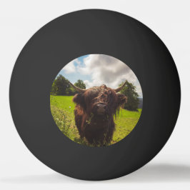 Svart höns med bete grönt fält sol med ljus pingisboll