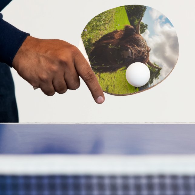 Svart höns med bete grönt fält sol med ljus pingisracket (Insitu)