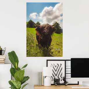 Svart höns med bete grönt fält sol med ljus poster