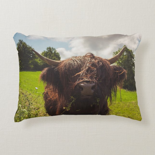 Svart höns med bete grönt fält sol med ljus prydnadskudde (Framsidan)