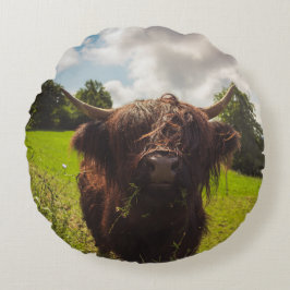 Svart höns med bete grönt fält sol med ljus rund kudde