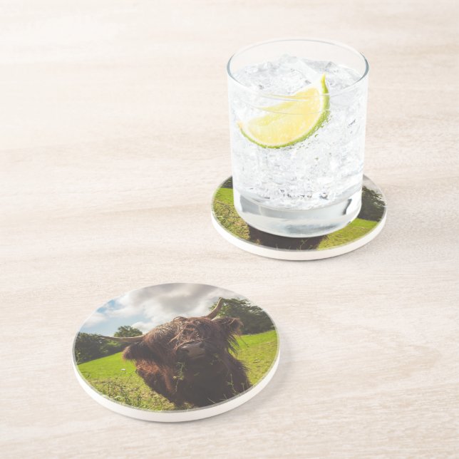 Svart höns med bete grönt fält sol med ljus underlägg (Sidan)