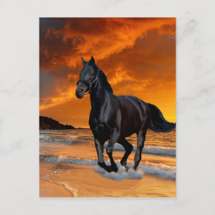 SVART HORSE, SVART STALLION, RUNNING OCH FRIHET VYKORT