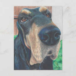 svart houndingkort vykort