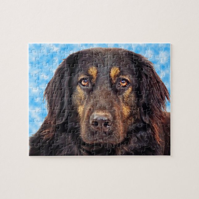 Svart Hovawart hund. Pussel (Horisontell)