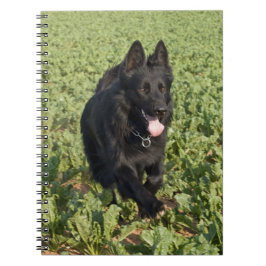 Svart Hund Anteckningsbok Med Spiral