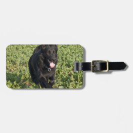 Svart Hund Bagagebricka