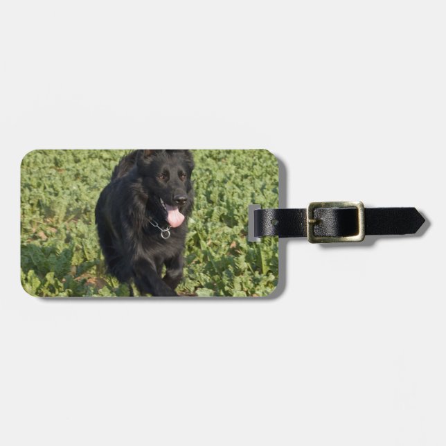Svart Hund Bagagebricka (Horisontell Framsida)