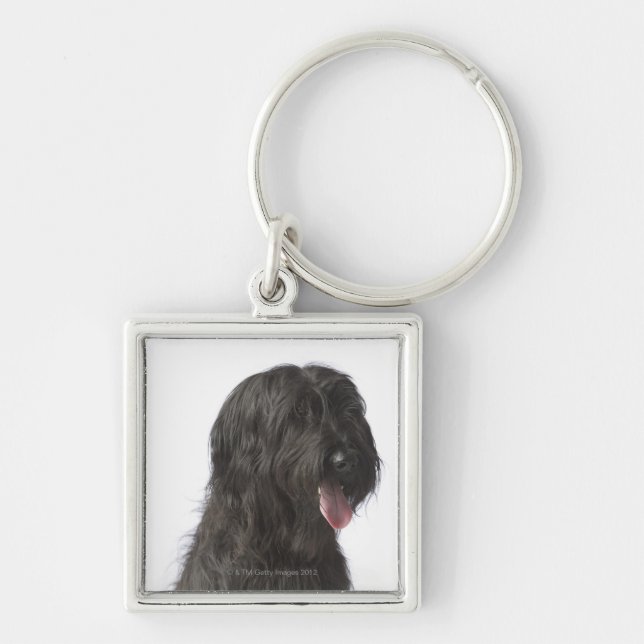 Svart hund, Briard Fyrkantig Silverfärgad Nyckelring (Framsidan)
