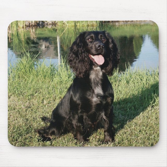 Svart hund för cockerspanielSpanielvalp Musmatta (Framsidan)