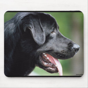 Svart hund för Labrador Retriever Musmatta