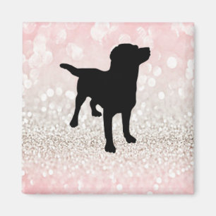 Svart Hund, Gnistra Magnet