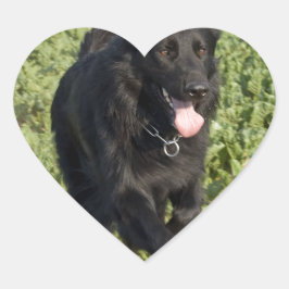 Svart Hund Hjärtformat Klistermärke