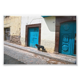 Svart Hund i Cusco, Peru Fototryck