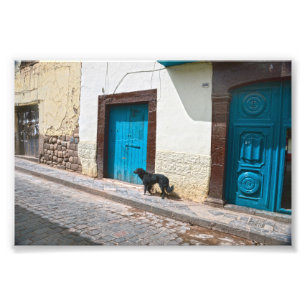 Svart Hund i Cusco, Peru Fototryck