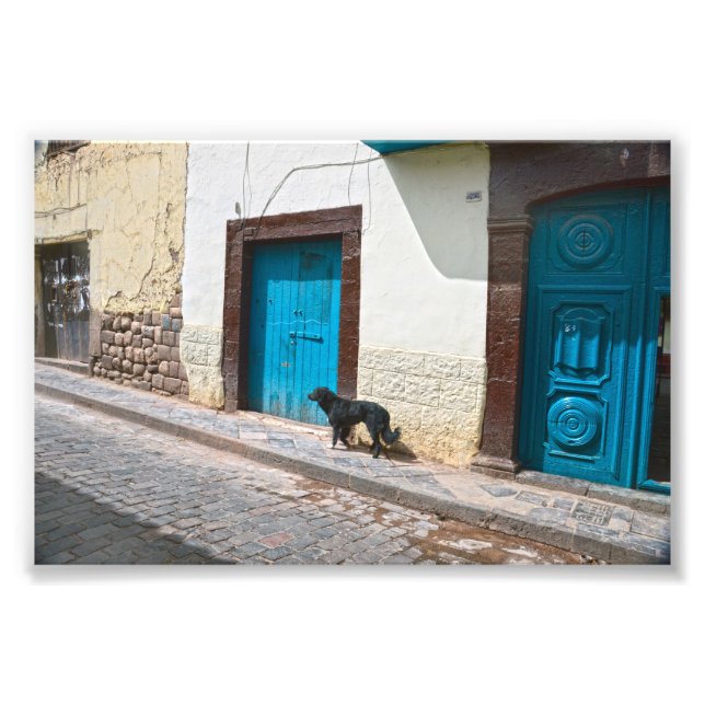 Svart Hund i Cusco, Peru Fototryck (Framsidan)