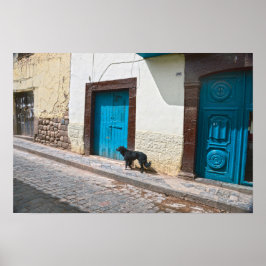 Svart hund i Cusco, Peru Poster