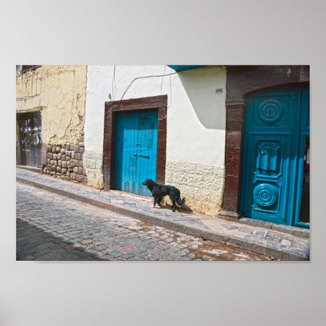 Svart Hund i Cusco, Peru Poster (Framsidan)
