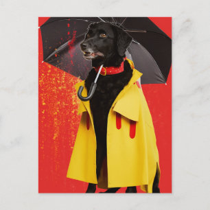 Svart hund i en gul regnrock vykort