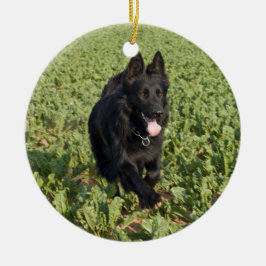 Svart Hund Julgransprydnad Keramik
