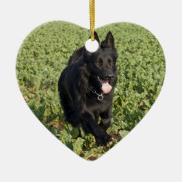 Svart Hund Julgransprydnad Keramik