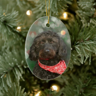Svart hund labradoodle Jul Julgransprydnad Keramik